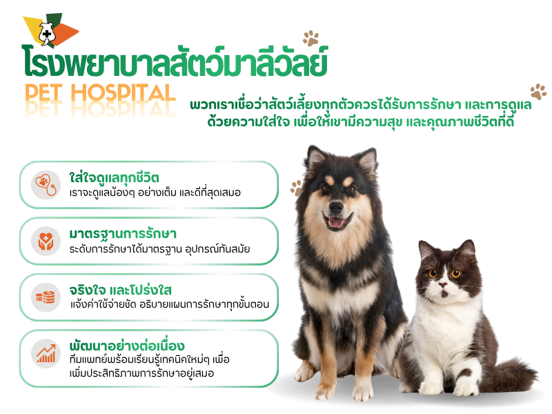 โรงพยาบาลสัตว์มาลีวัลย์ (9)